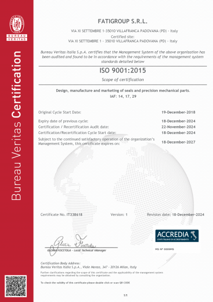 ISO 9001 EN